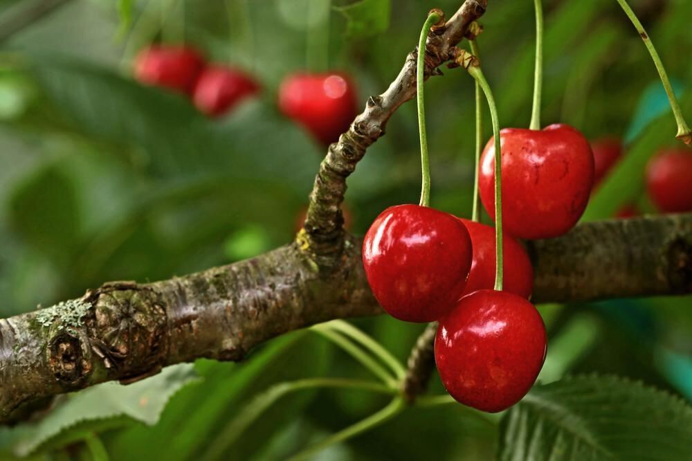 Naturfotos unserer Leser 2016