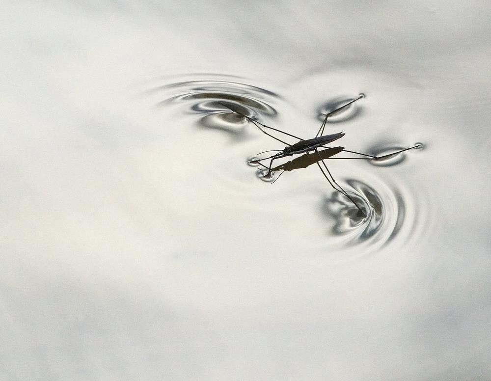 Naturfotos unserer Leser 2016