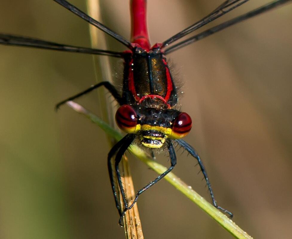 Naturfotos unserer Leser 2016