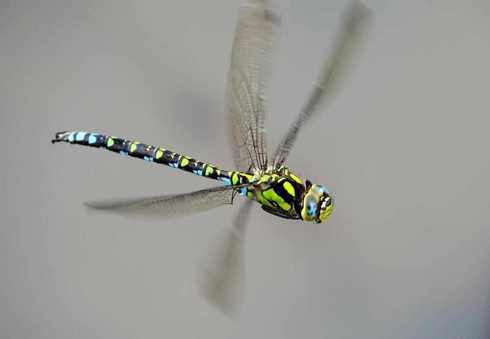 Naturfotos unserer Leser 2016