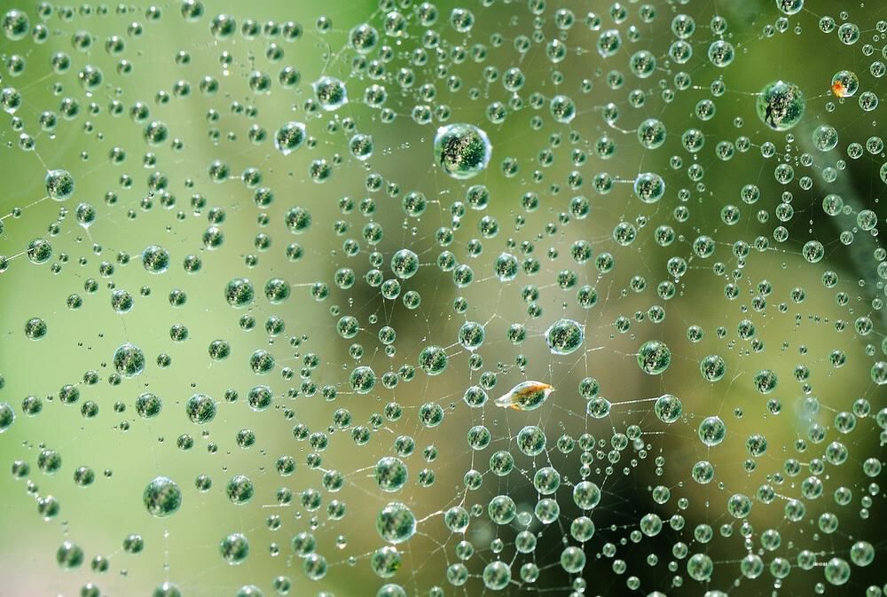 Naturfotos unserer Leser 2016