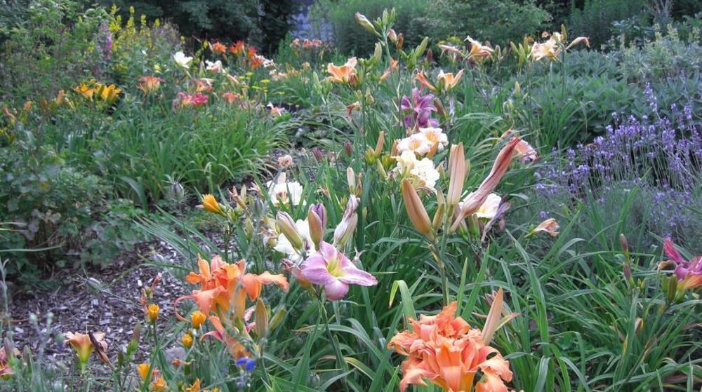 Naturfotos unserer Leser 2016