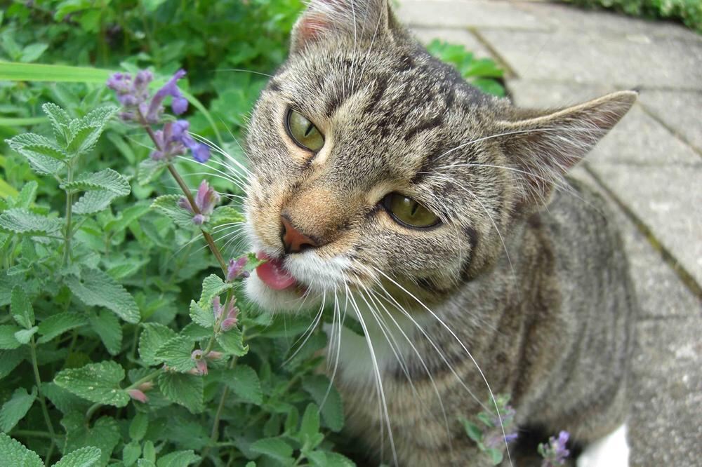 Naturfotos unserer Leser 2016