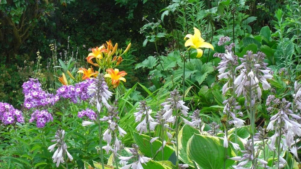 Naturfotos unserer Leser 2016