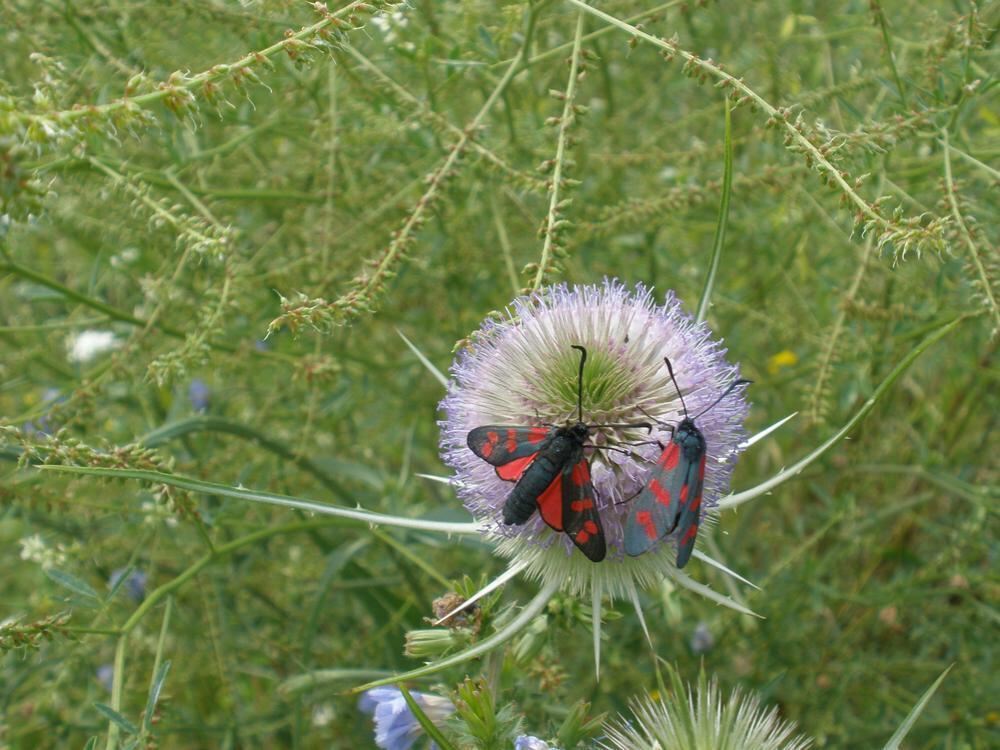 Naturfotos unserer Leser 2016