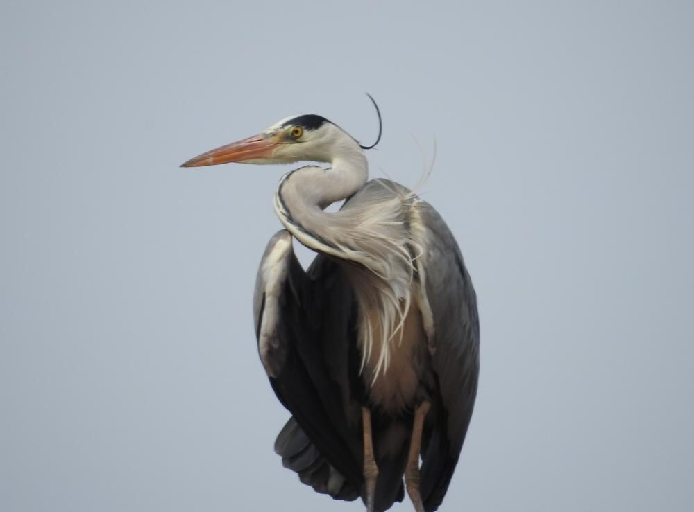 Naturfotos unserer Leser 2016