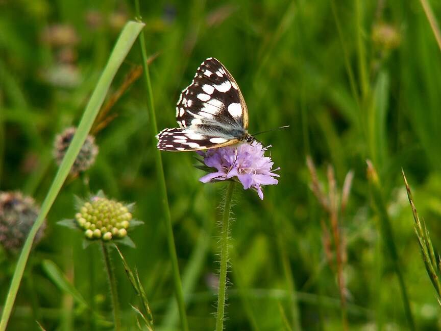 Naturfotos unserer Leser 2016