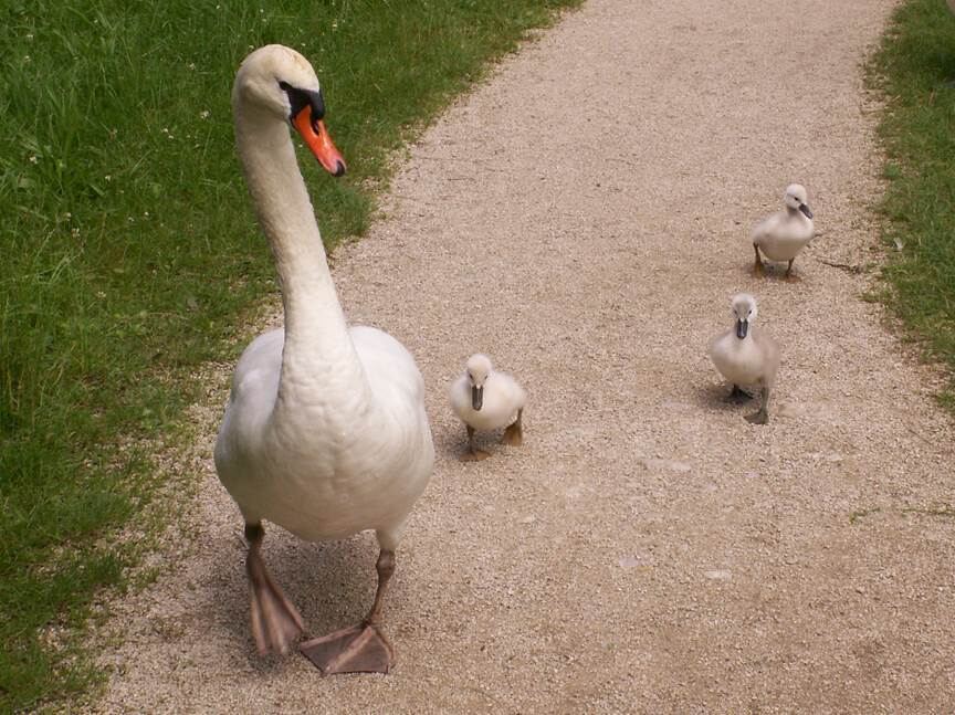 Naturfotos unserer Leser 2016