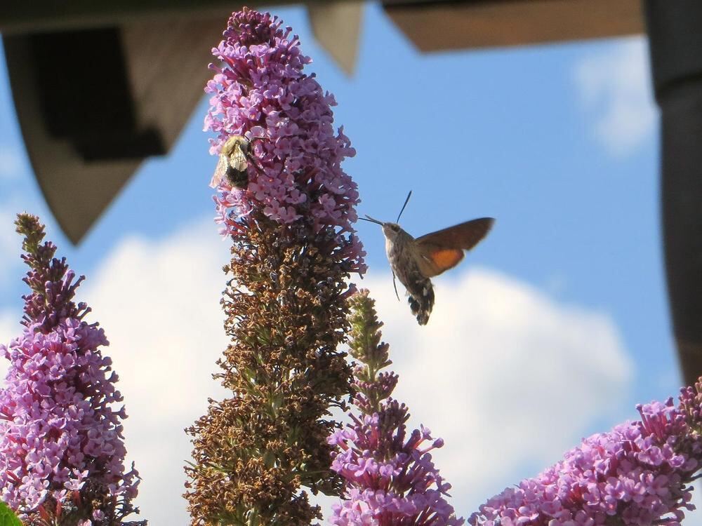 Naturfotos unserer Leser 2016