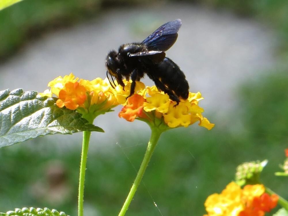 Naturfotos unserer Leser 2016
