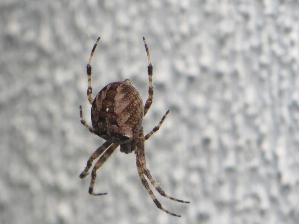 Naturfotos unserer Leser 2016