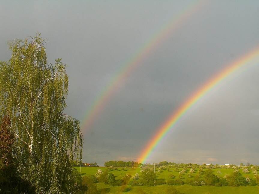 Naturfotos unserer Leser 2016