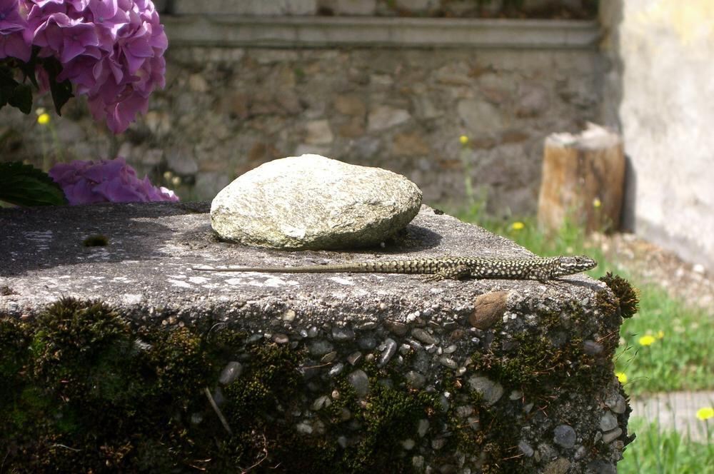 Naturfotos unserer Leser 2016