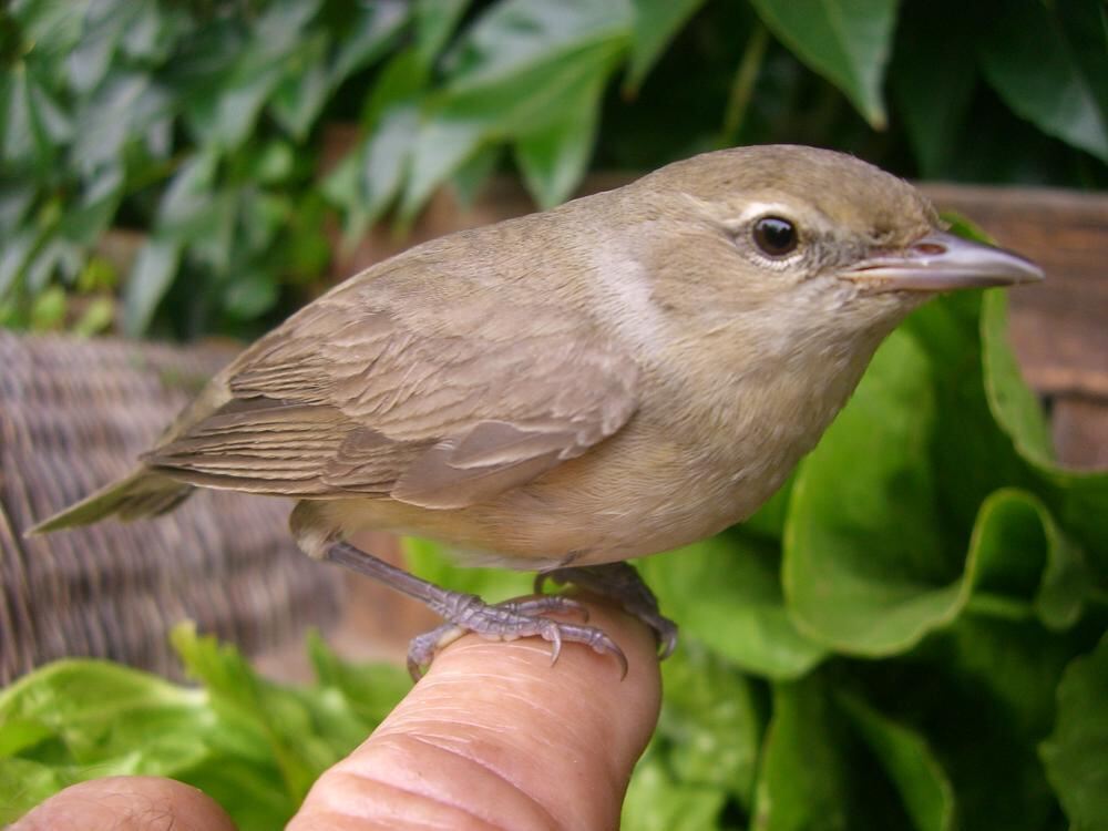 Naturfotos unserer Leser 2016