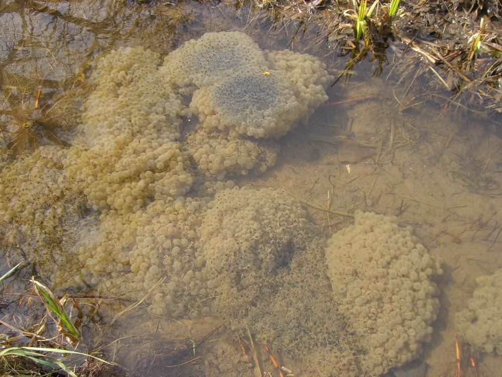 Naturfotos unserer Leser 2016