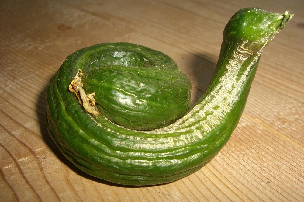 Naturfotos unserer Leser 2016