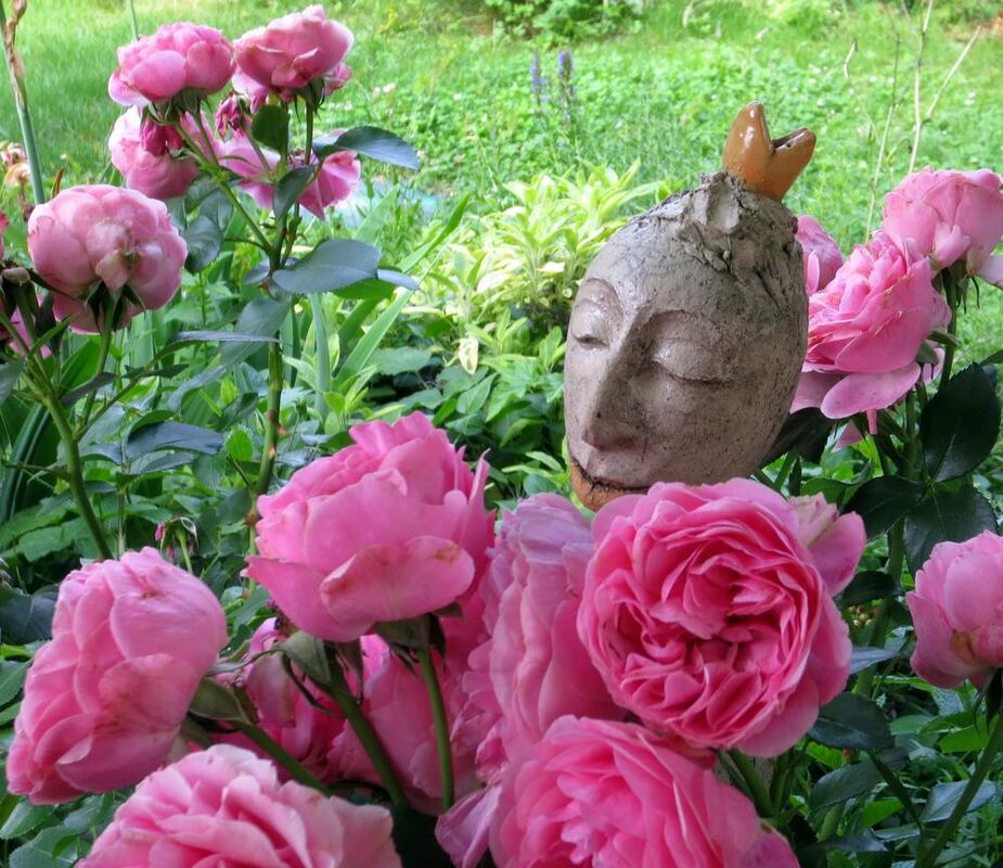 Naturfotos unserer Leser 2016