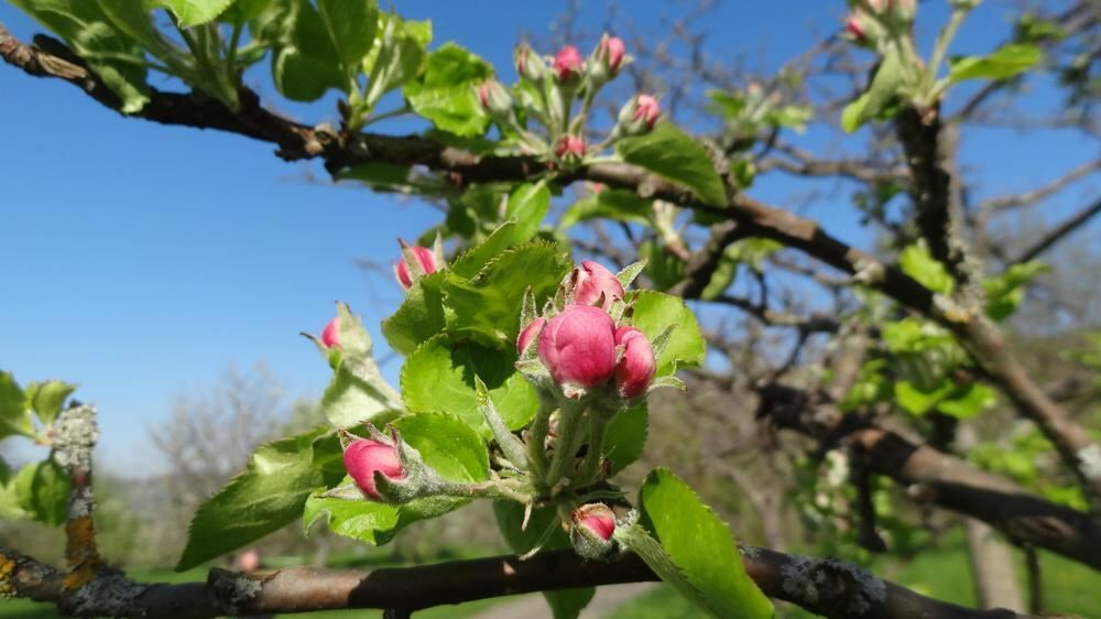 Naturfotos unserer Leser 2016