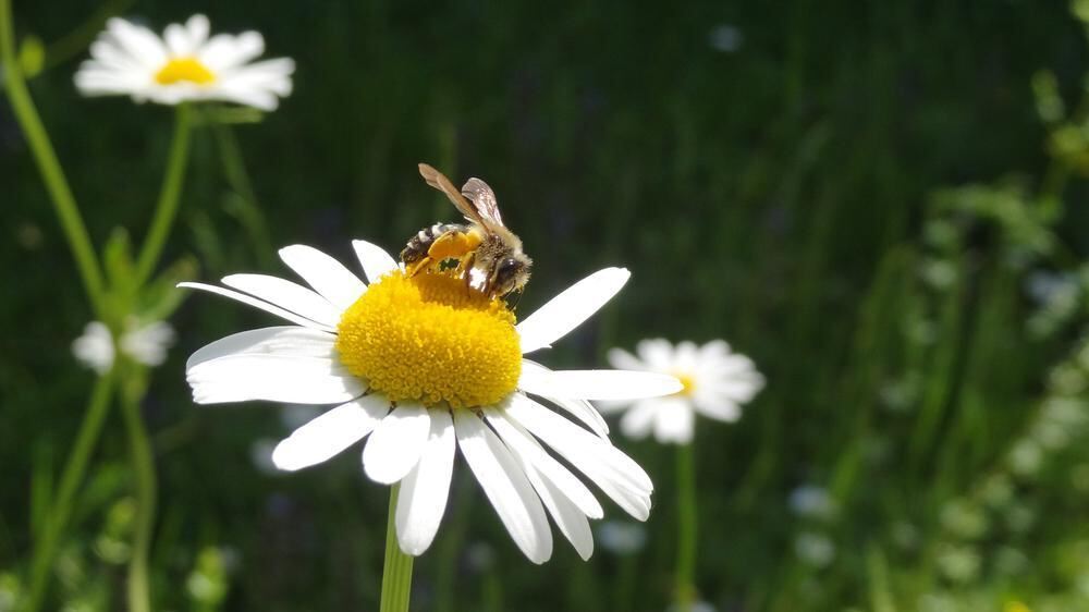Naturfotos unserer Leser 2016