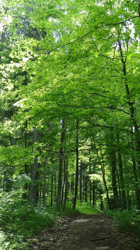 Naturfotos unserer Leser 2016