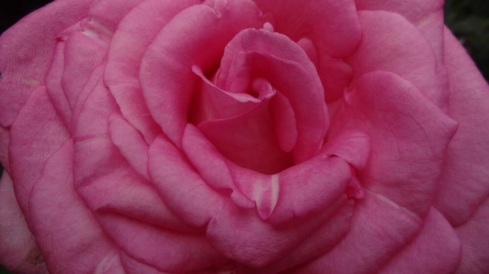 Naturfotos unserer Leser 2016