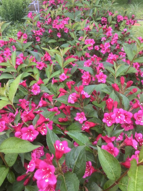 Naturfotos unserer Leser 2016