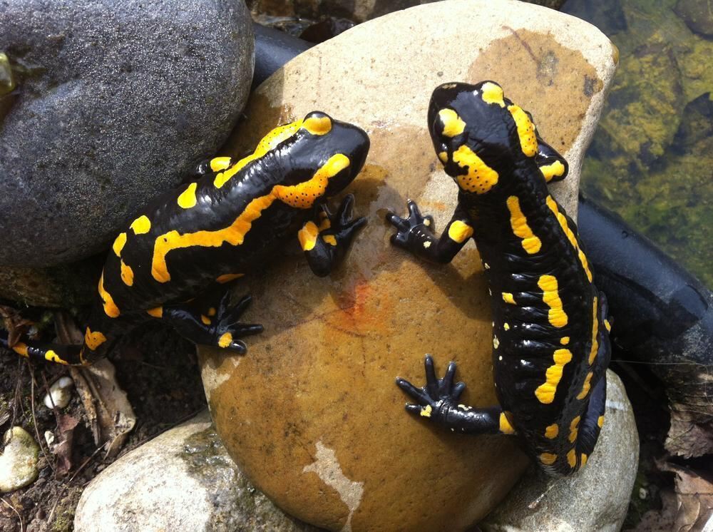 Naturfotos unserer Leser 2016