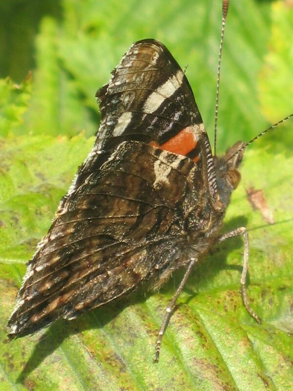 Naturfotos unserer Leser 2016