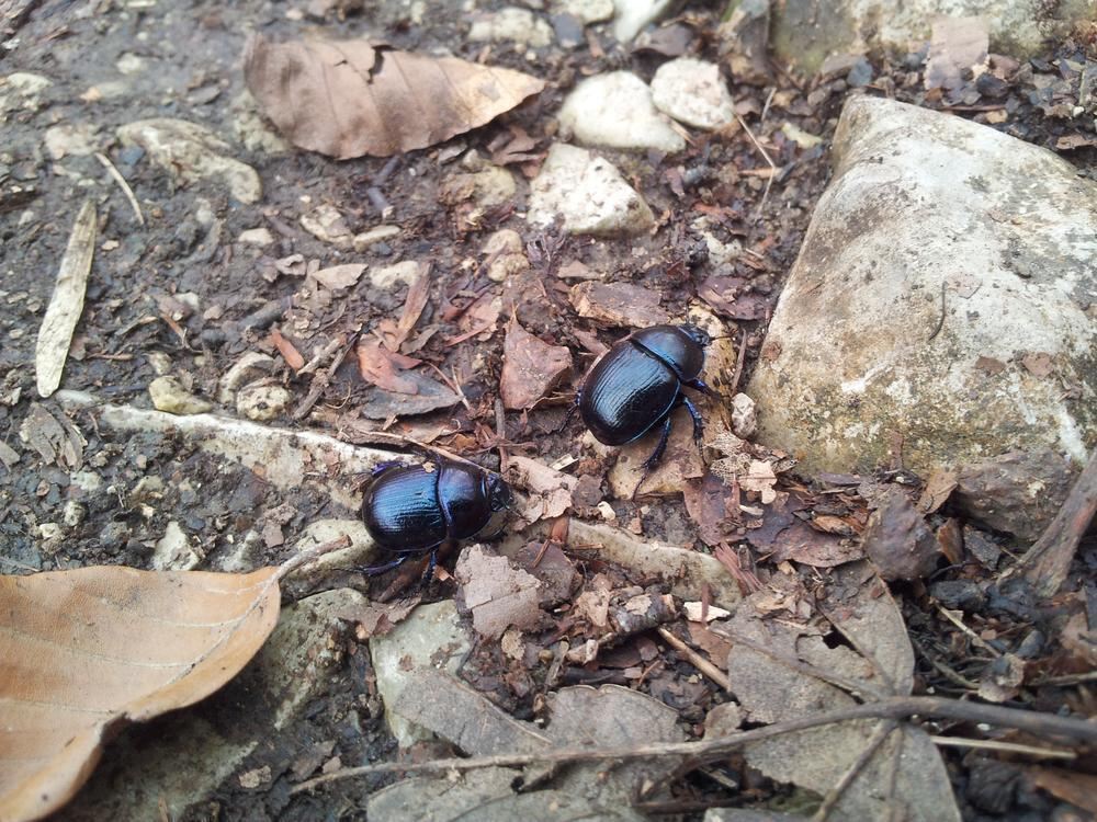 Naturfotos unserer Leser 2016