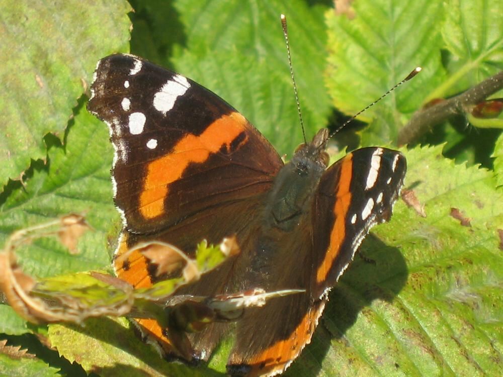 Naturfotos unserer Leser 2016