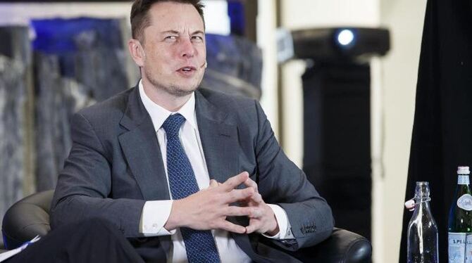 Tech-Milliardär und Tesla-Chef Elon Musk. Foto: Heiko Junge