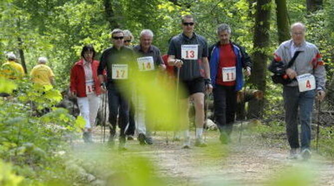 Durch Wald und Wiesen führte die Laufstrecke beim zweiten Betzinger Frühjahrsbiathlon, der den Teilnehmern ebenso viel Spaß mach