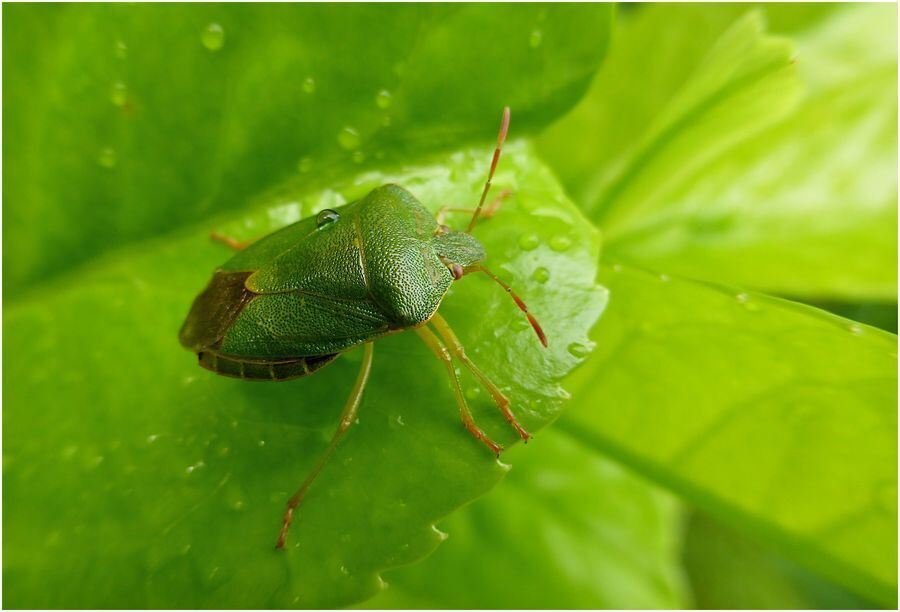 Foto: Christel Mollenkopf