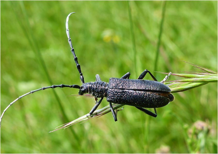 Foto: Christel Mollenkopf