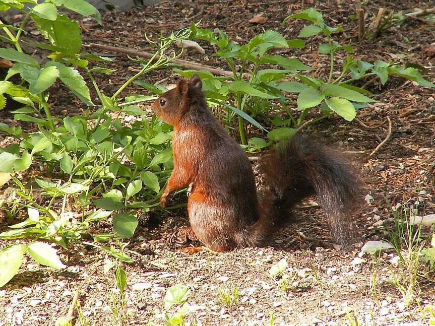 Foto: Brigitte Bellon