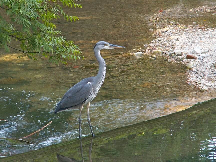 Foto: Brigitte Bellon