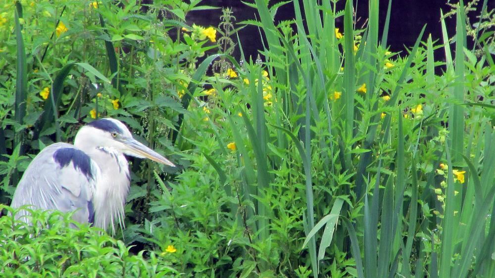 Naturfotos unserer Leser 2016