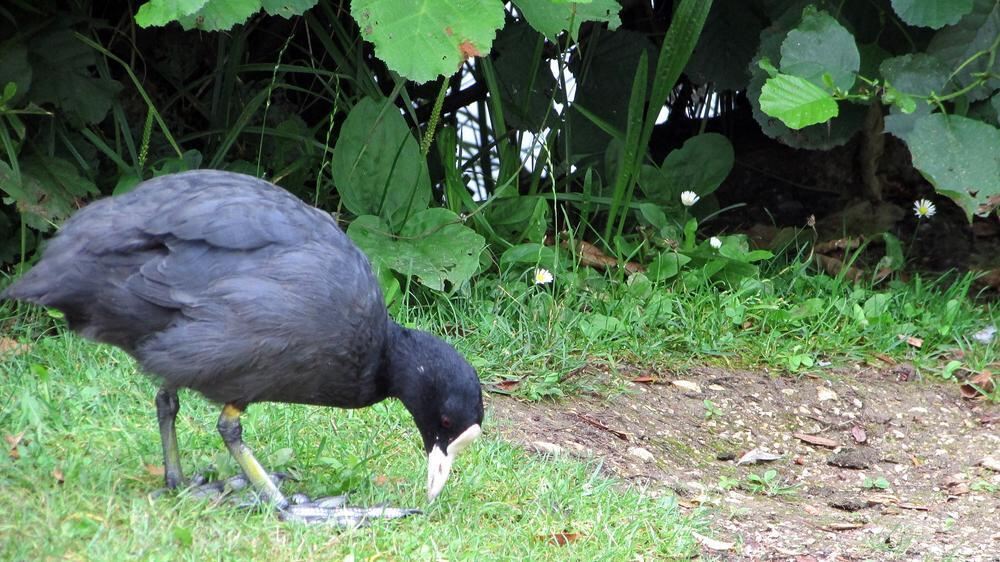 Naturfotos unserer Leser 2016