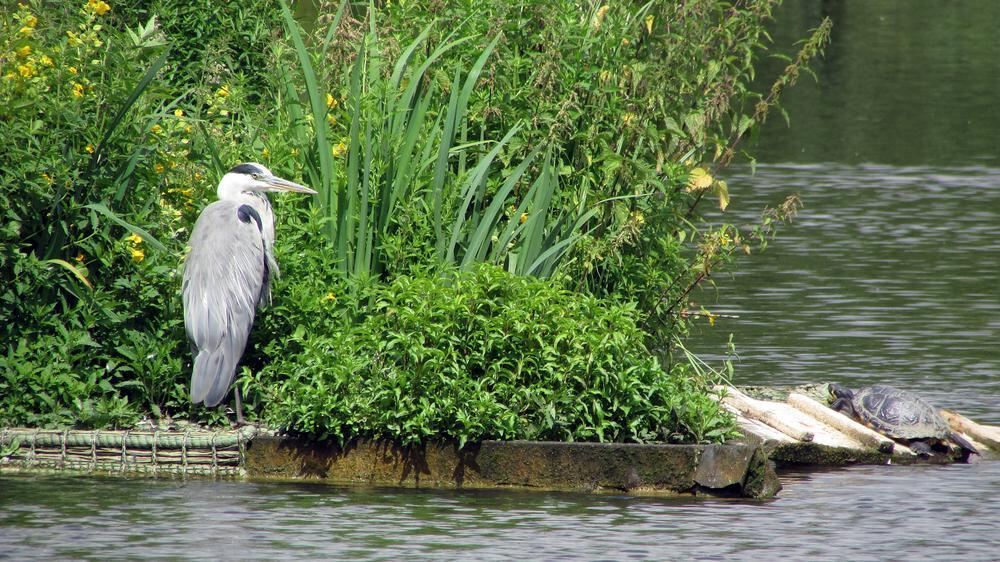 Naturfotos unserer Leser 2016