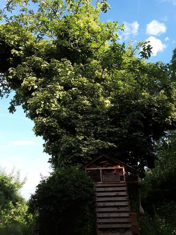 Naturfotos unserer Leser 2016