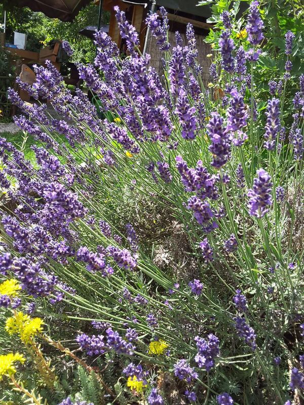 Naturfotos unserer Leser 2016