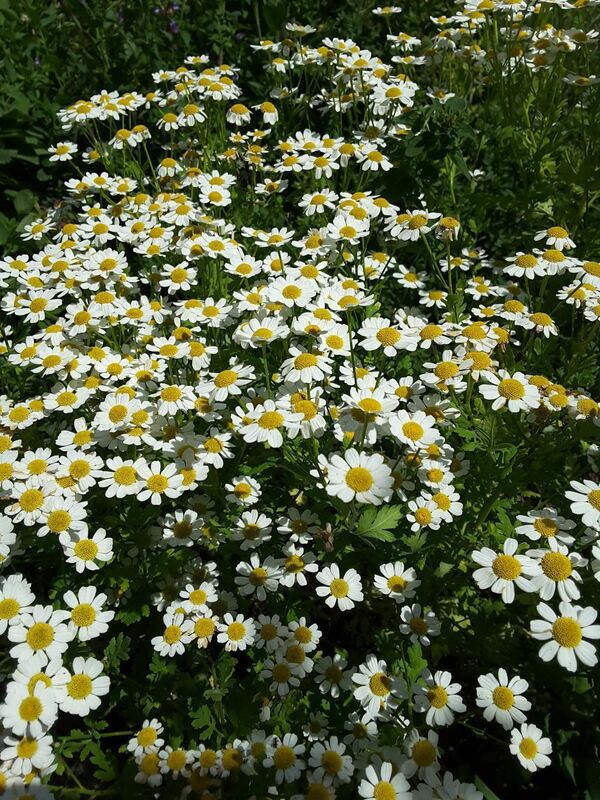 Naturfotos unserer Leser 2016