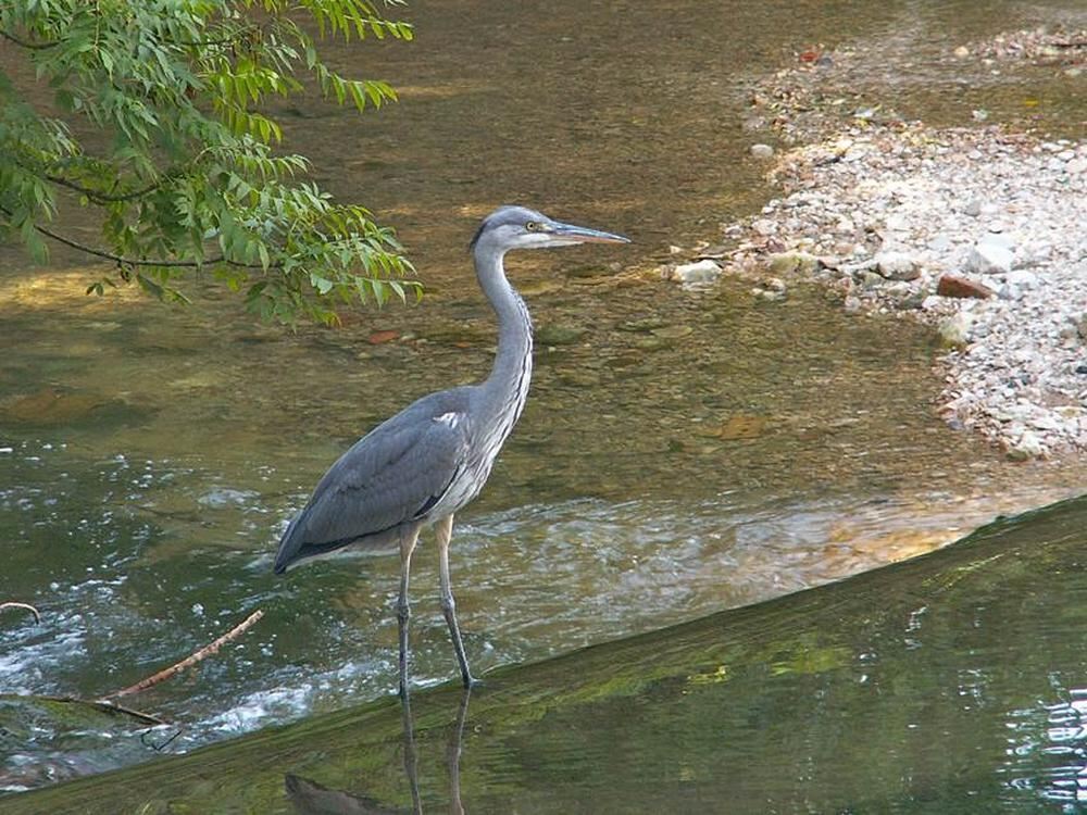 Naturfotos unserer Leser 2016
