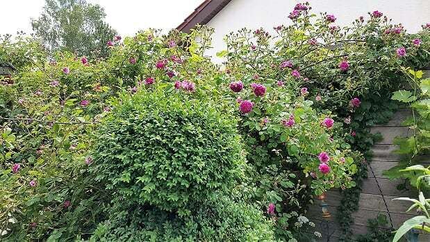 Naturfotos unserer Leser 2016