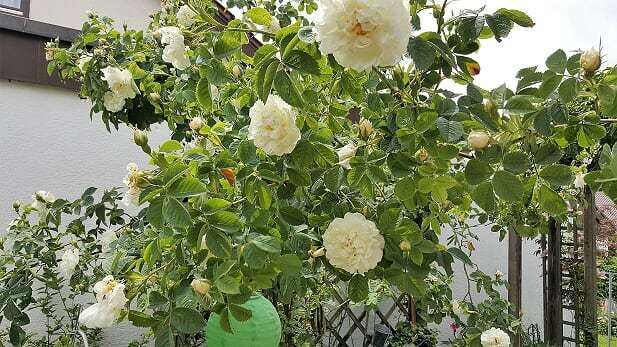 Naturfotos unserer Leser 2016