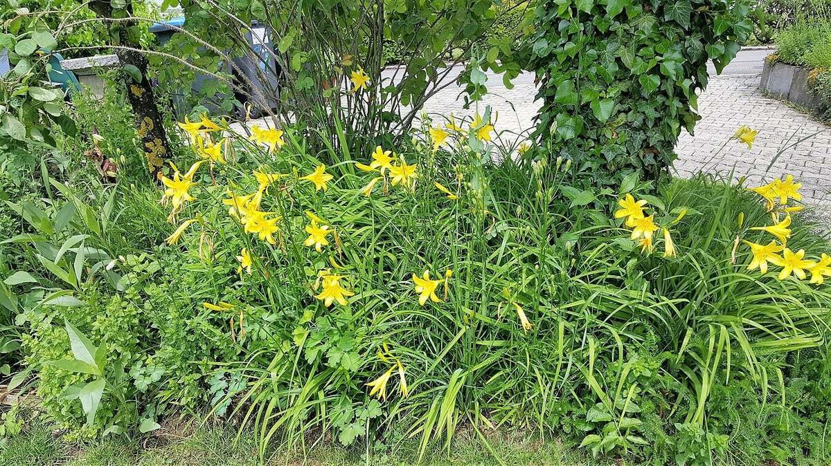 Naturfotos unserer Leser 2016