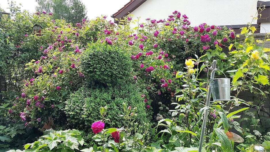 Naturfotos unserer Leser 2016