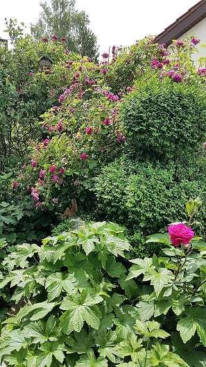 Naturfotos unserer Leser 2016