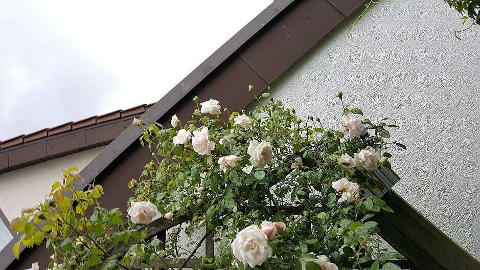 Naturfotos unserer Leser 2016