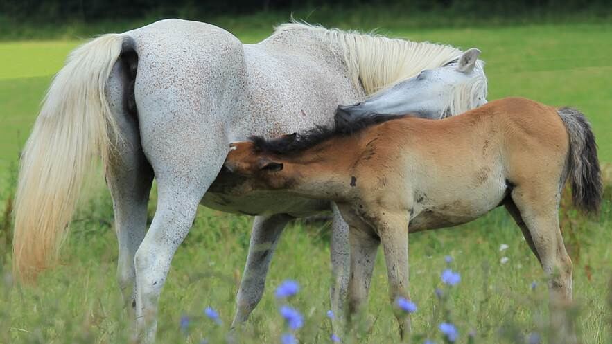 Naturfotos unserer Leser 2016